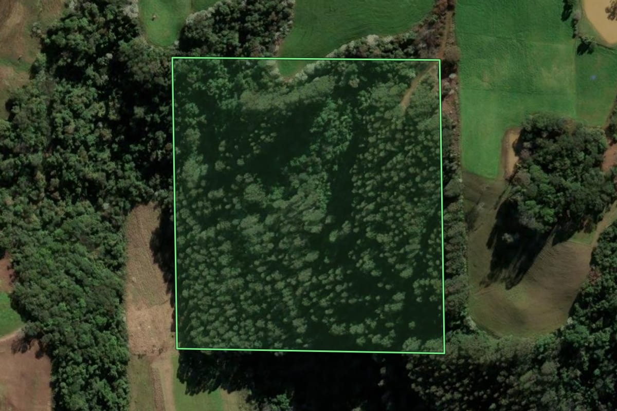 Imagem de satélite do imóvel rural em Barão de Cotegipe (RS), com o contorno declarado no CAR desenhado por cima.