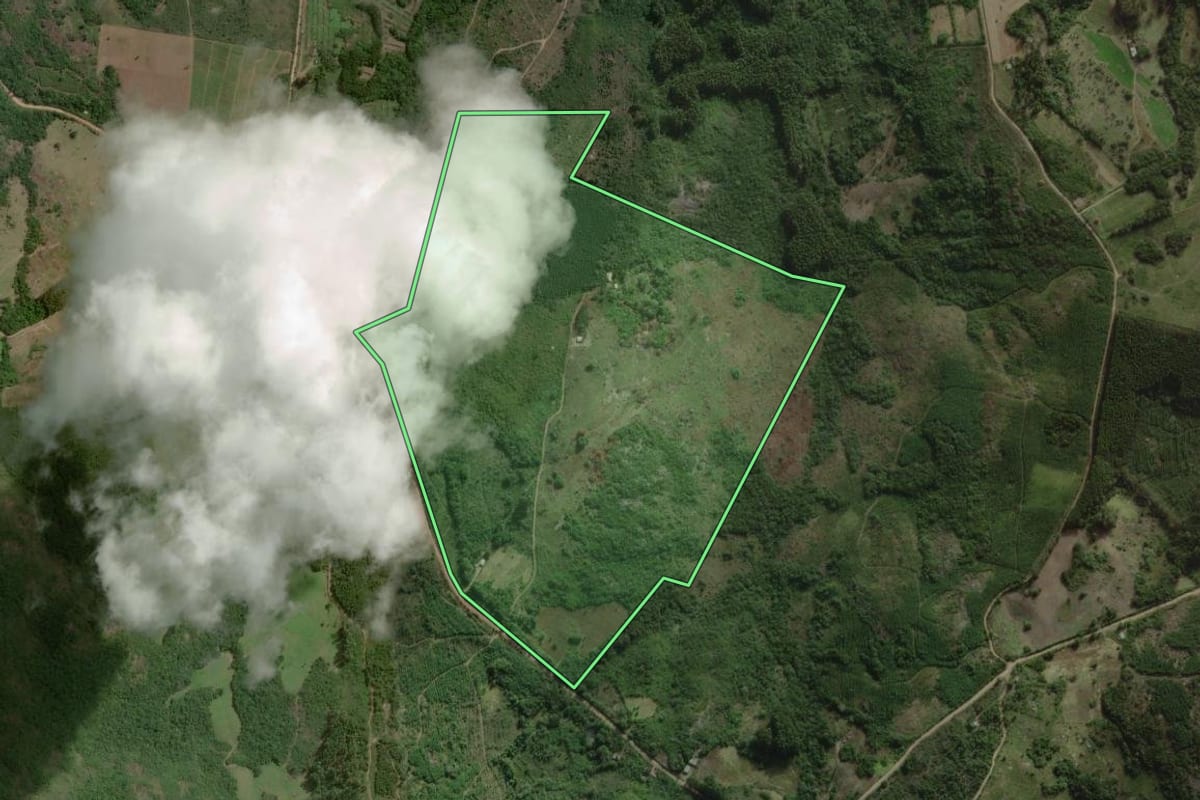 Imagem de satélite do imóvel rural em Barão do Triunfo (RS), com o contorno declarado no CAR desenhado por cima.