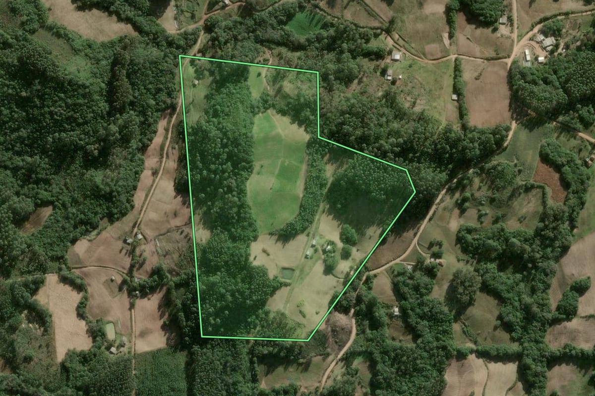 Imagem de satélite do imóvel rural em Barão do Triunfo (RS), com o contorno declarado no CAR desenhado por cima.