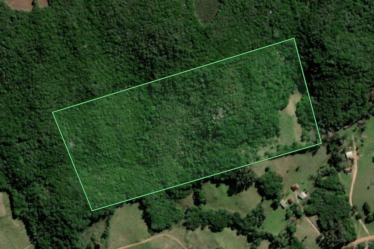 Imagem de satélite do imóvel rural em Barão do Triunfo (RS), com o contorno declarado no CAR desenhado por cima.