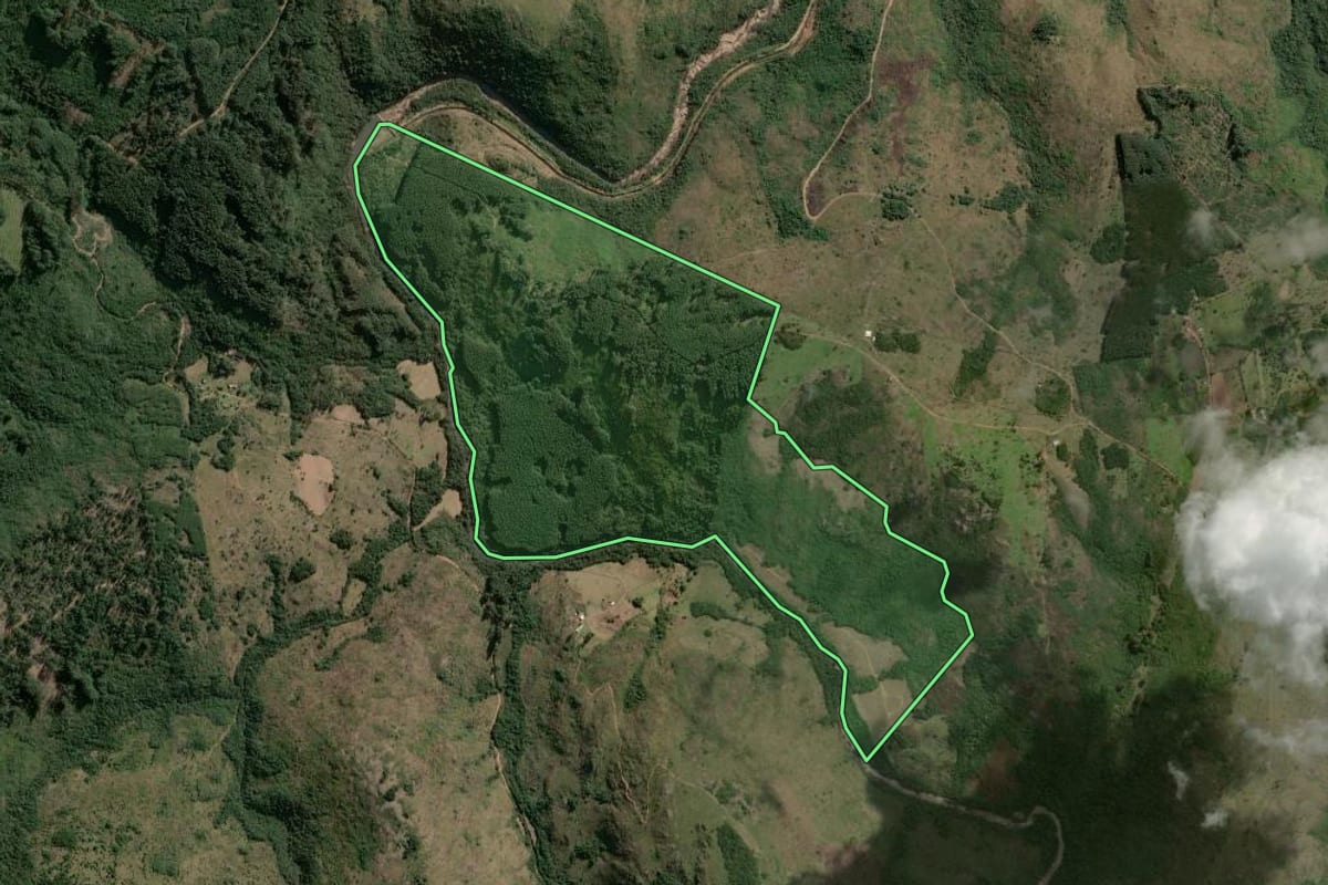 Imagem de satélite do imóvel rural em Barão do Triunfo (RS), com o contorno declarado no CAR desenhado por cima.