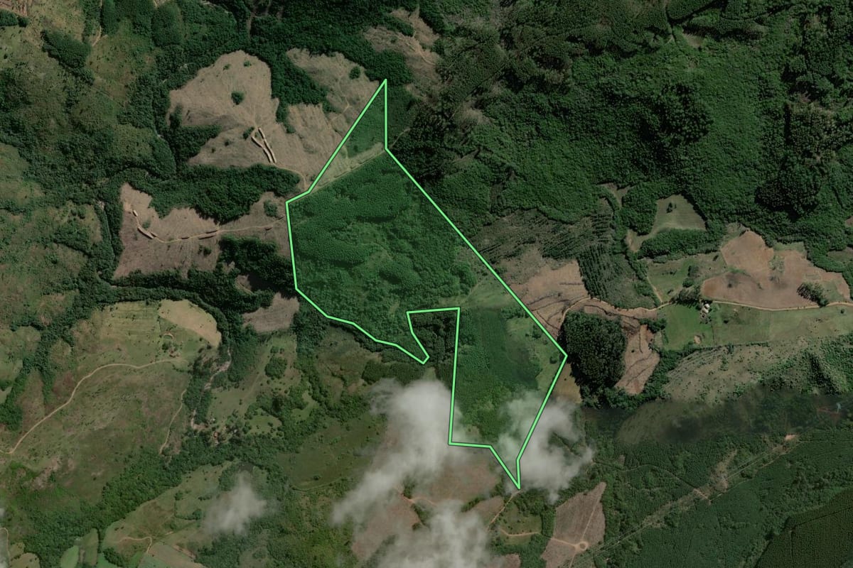 Imagem de satélite do imóvel rural em Barão do Triunfo (RS), com o contorno declarado no CAR desenhado por cima.