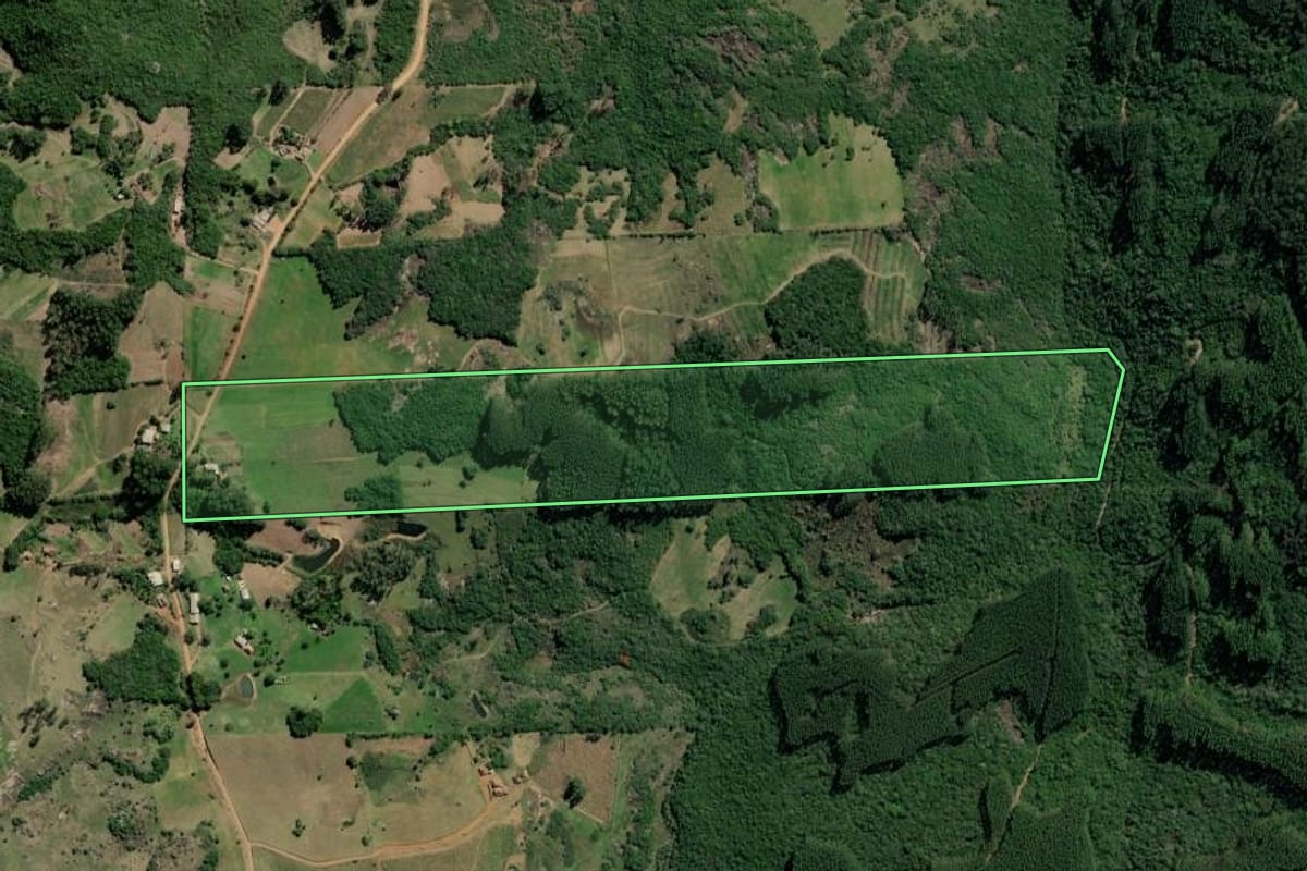 Imagem de satélite do imóvel rural em Barão do Triunfo (RS), com o contorno declarado no CAR desenhado por cima.