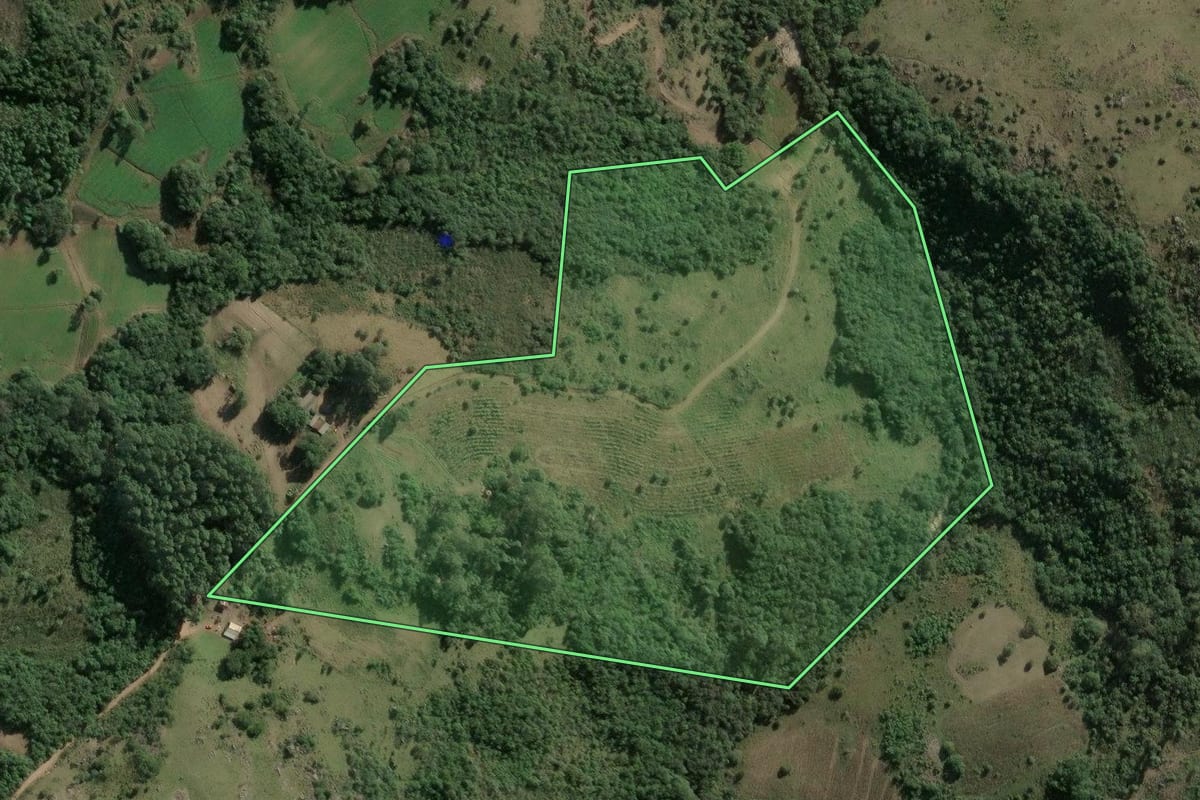 Imagem de satélite do imóvel rural em Barão do Triunfo (RS), com o contorno declarado no CAR desenhado por cima.
