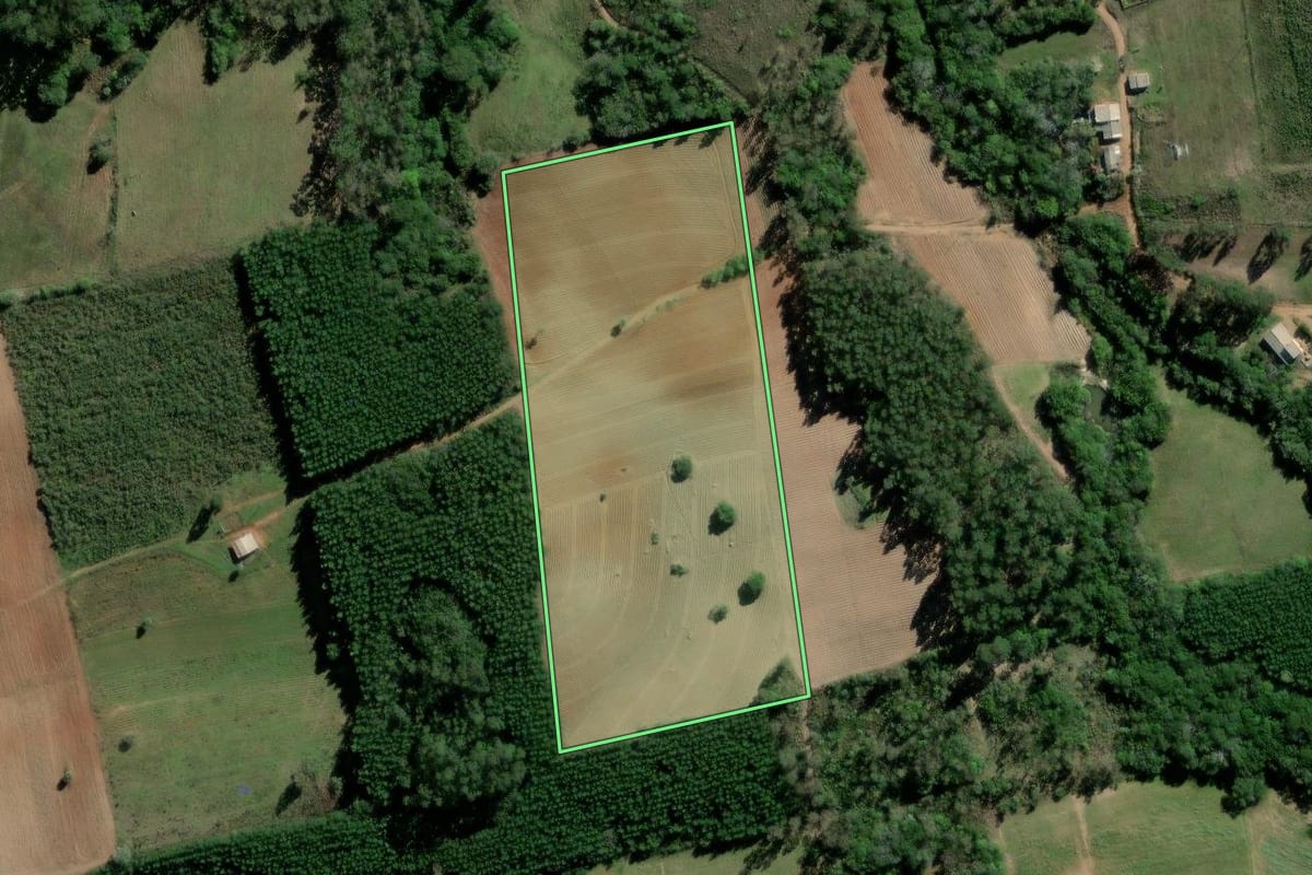 Imagem de satélite do imóvel rural em Barão do Triunfo (RS), com o contorno declarado no CAR desenhado por cima.