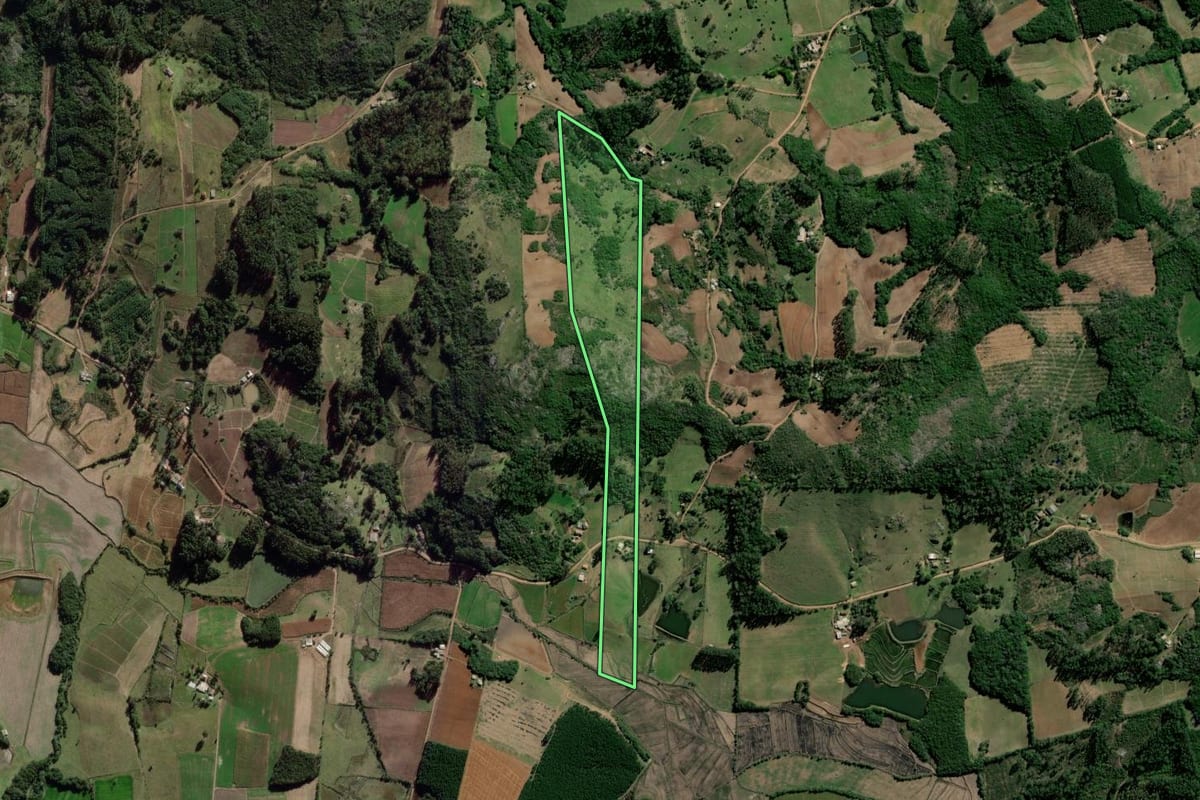 Imagem de satélite do imóvel rural em Barão do Triunfo (RS), com o contorno declarado no CAR desenhado por cima.