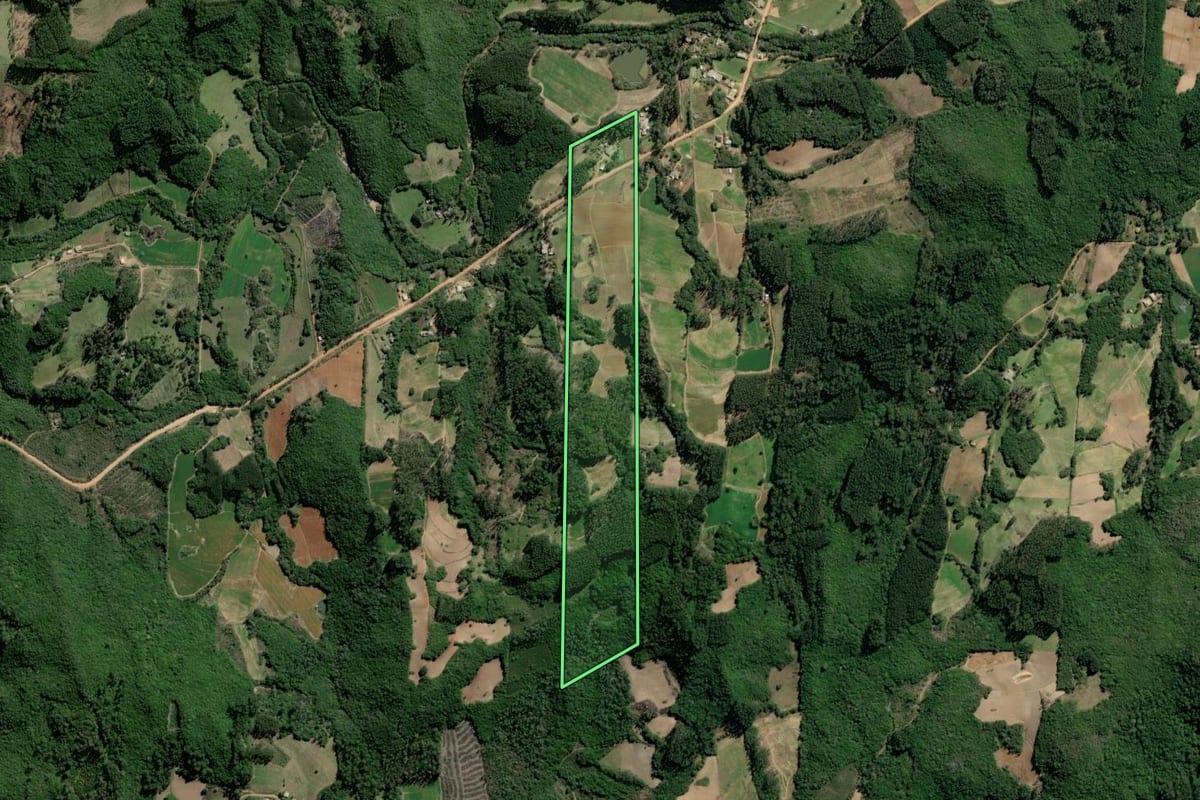 Imagem de satélite do imóvel rural em Barão do Triunfo (RS), com o contorno declarado no CAR desenhado por cima.
