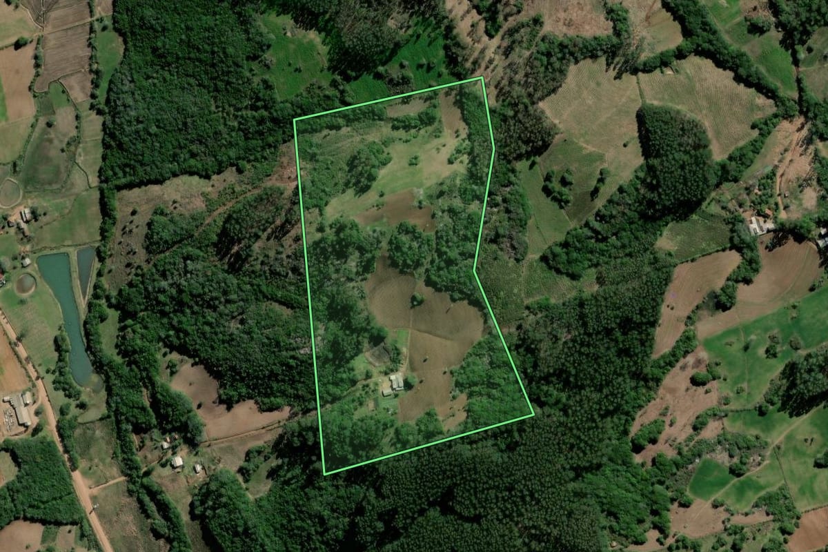 Imagem de satélite do imóvel rural em Barão do Triunfo (RS), com o contorno declarado no CAR desenhado por cima.
