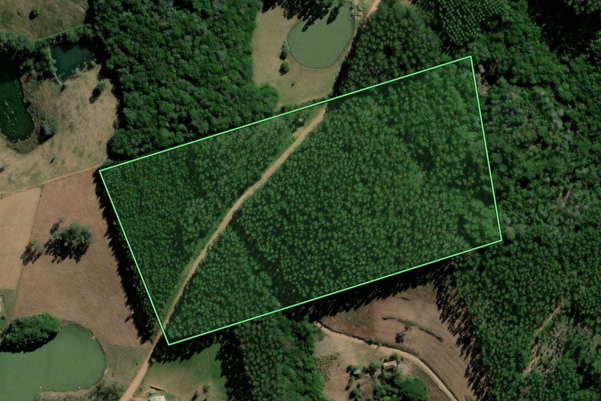 Imagem de satélite do imóvel rural em Barão do Triunfo (RS), com o contorno declarado no CAR desenhado por cima.