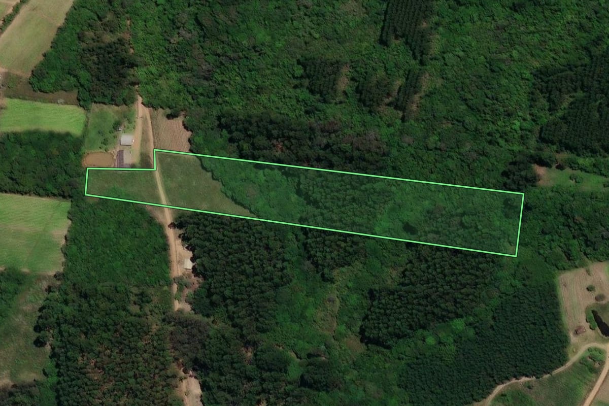 Imagem de satélite do imóvel rural em Barão do Triunfo (RS), com o contorno declarado no CAR desenhado por cima.