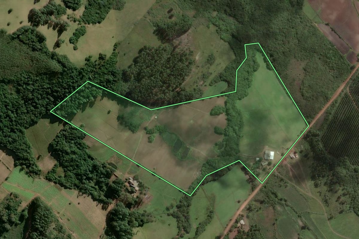 Imagem de satélite do imóvel rural em Barão do Triunfo (RS), com o contorno declarado no CAR desenhado por cima.