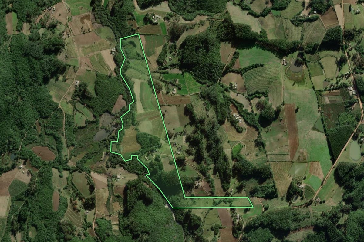 Imagem de satélite do imóvel rural em Barão do Triunfo (RS), com o contorno declarado no CAR desenhado por cima.