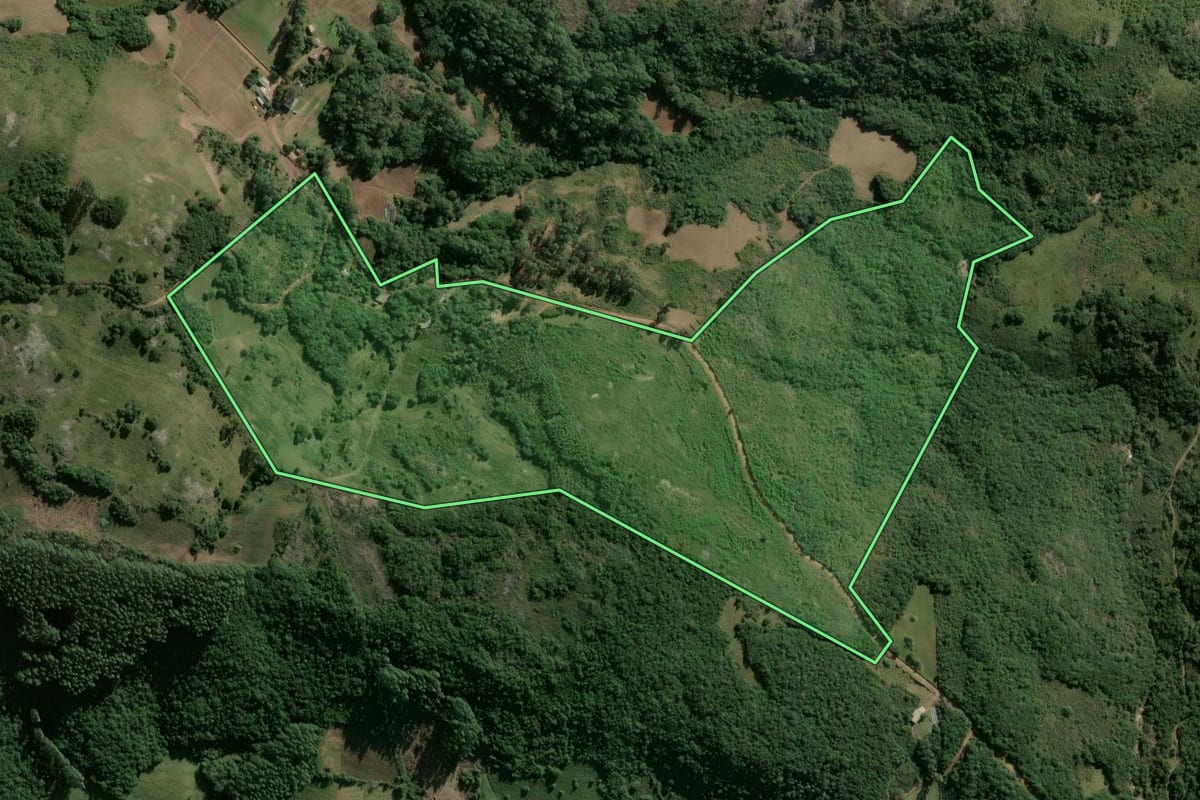 Imagem de satélite do imóvel rural em Barão do Triunfo (RS), com o contorno declarado no CAR desenhado por cima.