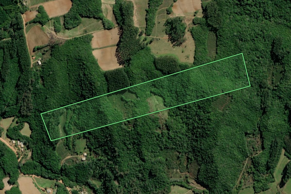 Imagem de satélite do imóvel rural em Barão do Triunfo (RS), com o contorno declarado no CAR desenhado por cima.