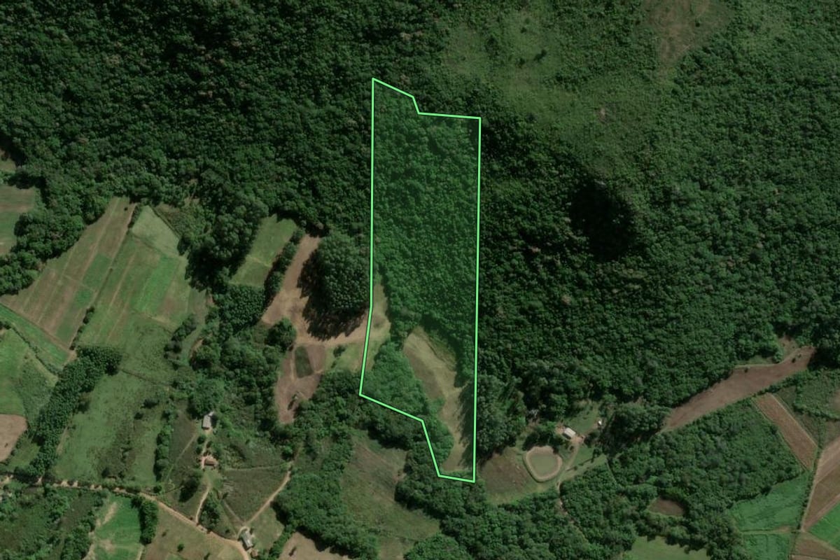 Imagem de satélite do imóvel rural em Barão do Triunfo (RS), com o contorno declarado no CAR desenhado por cima.