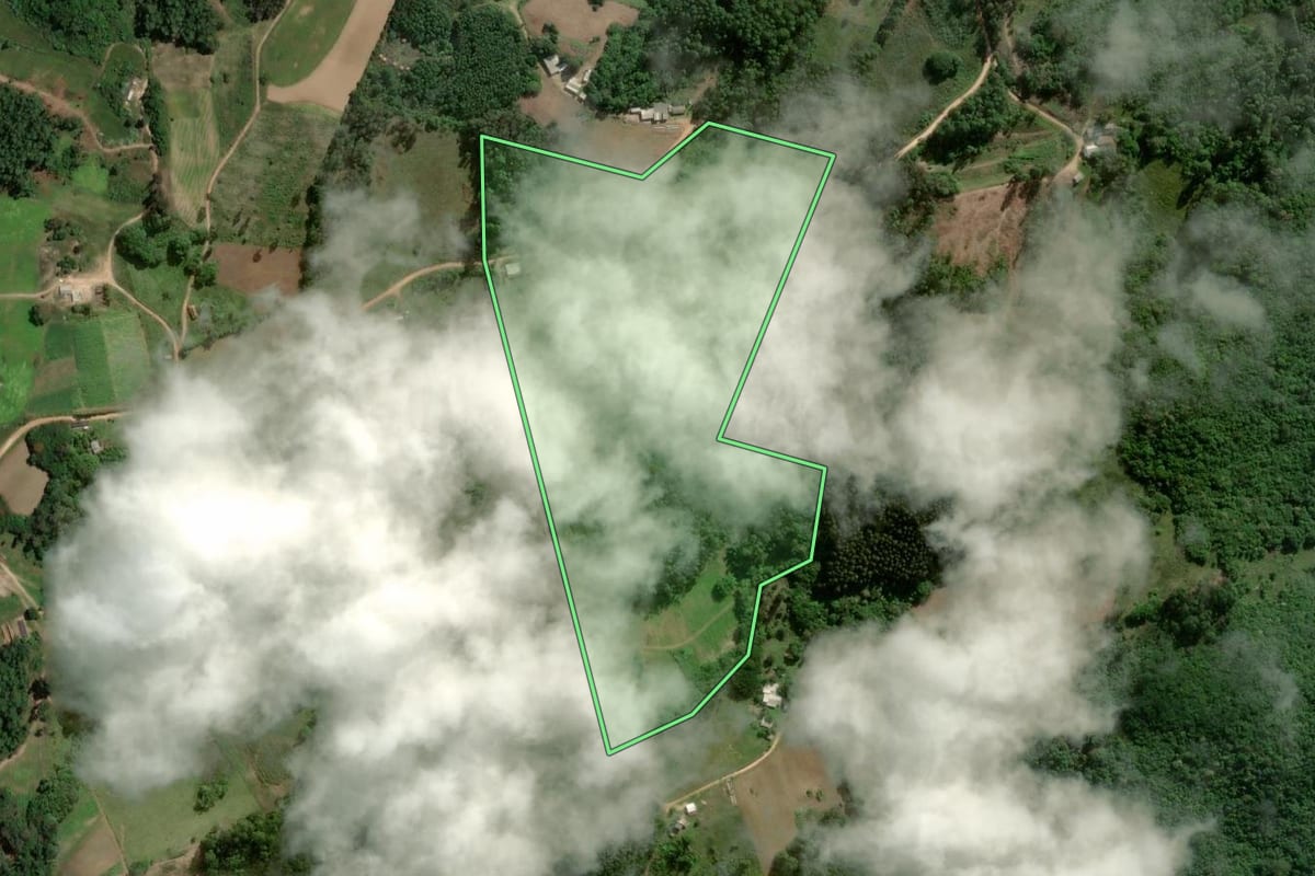 Imagem de satélite do imóvel rural em Barão do Triunfo (RS), com o contorno declarado no CAR desenhado por cima.