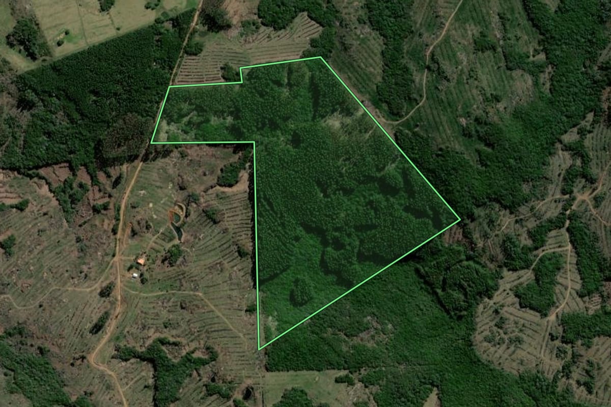 Imagem de satélite do imóvel rural em Barão do Triunfo (RS), com o contorno declarado no CAR desenhado por cima.