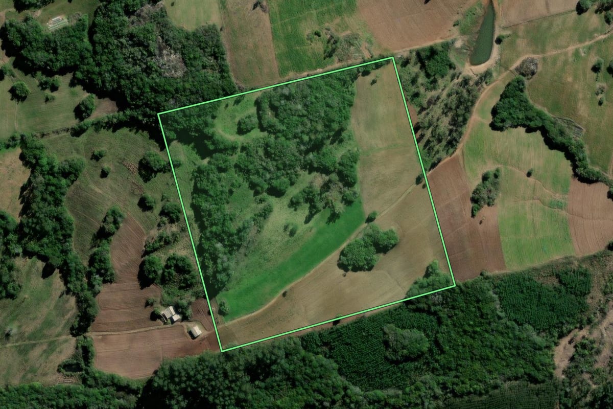 Imagem de satélite do imóvel rural em Barão do Triunfo (RS), com o contorno declarado no CAR desenhado por cima.