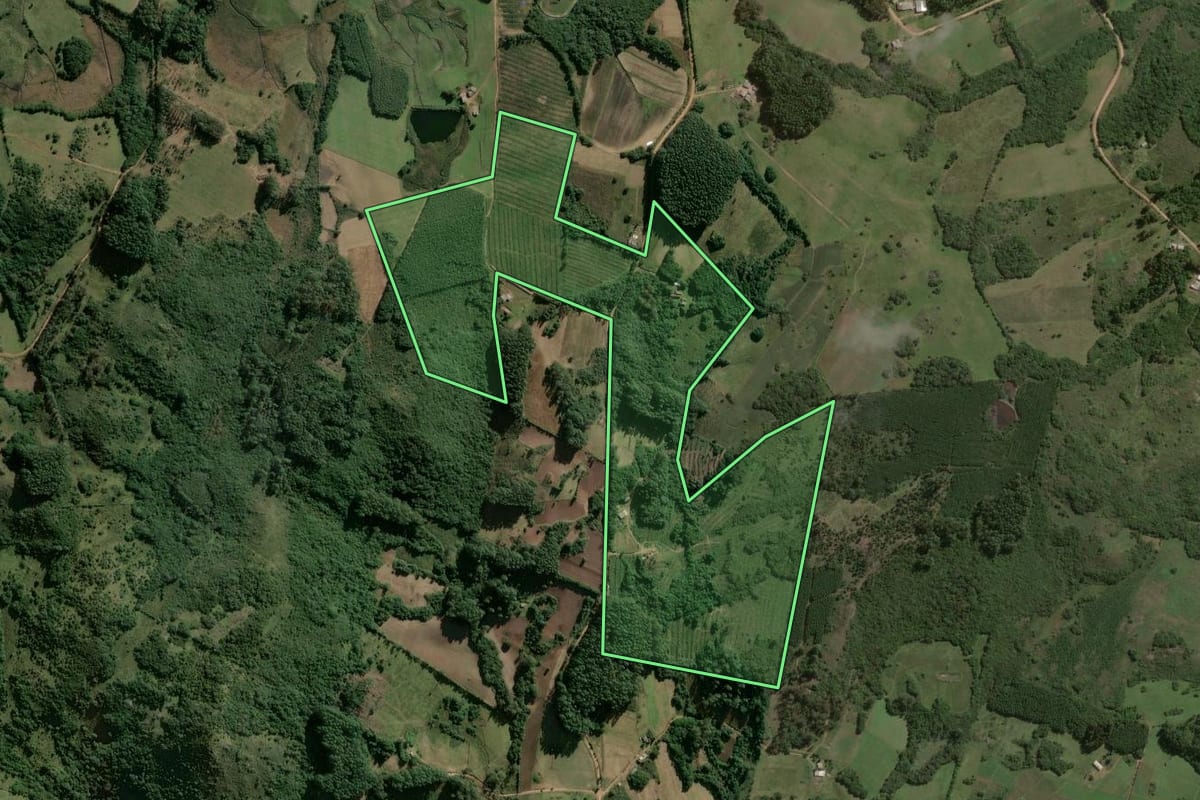 Imagem de satélite do imóvel rural em Barão do Triunfo (RS), com o contorno declarado no CAR desenhado por cima.