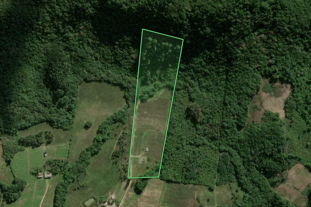 Imagem de satélite do imóvel rural em Barão do Triunfo (RS), com o contorno declarado no CAR desenhado por cima.