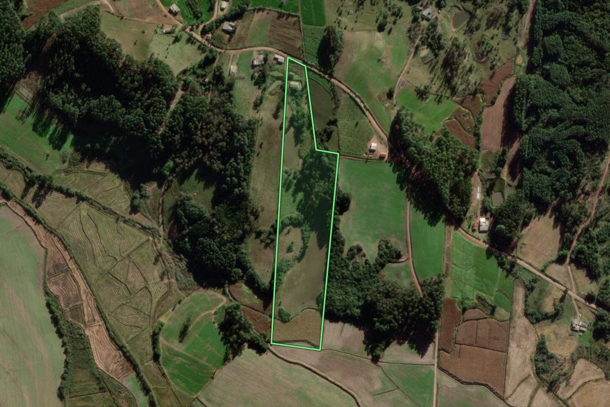 Imagem de satélite do imóvel rural em Barão do Triunfo (RS), com o contorno declarado no CAR desenhado por cima.