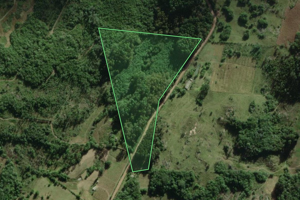 Imagem de satélite do imóvel rural em Barão do Triunfo (RS), com o contorno declarado no CAR desenhado por cima.