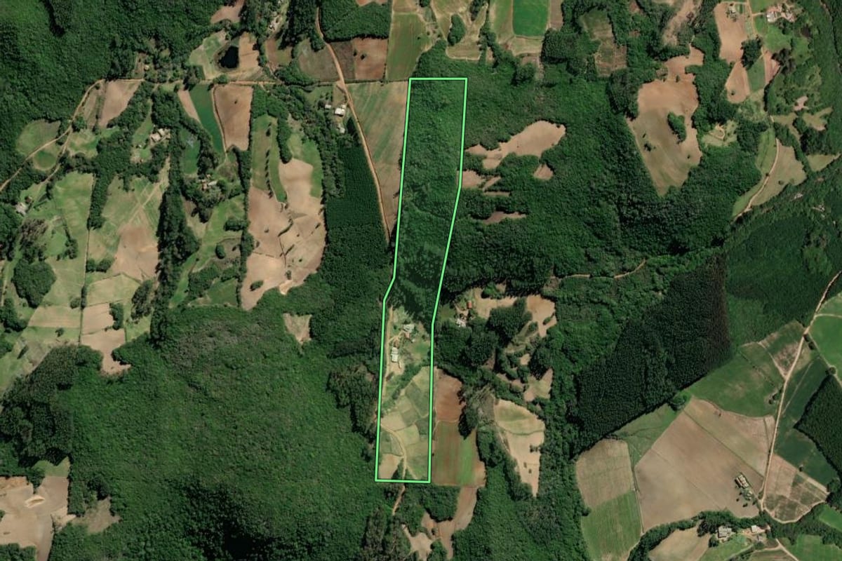 Imagem de satélite do imóvel rural em Barão do Triunfo (RS), com o contorno declarado no CAR desenhado por cima.