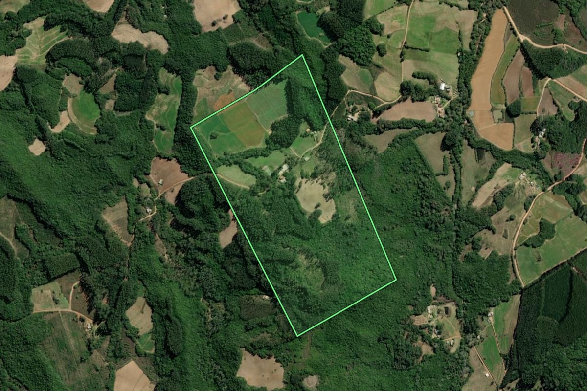 Imagem de satélite do imóvel rural em Barão do Triunfo (RS), com o contorno declarado no CAR desenhado por cima.