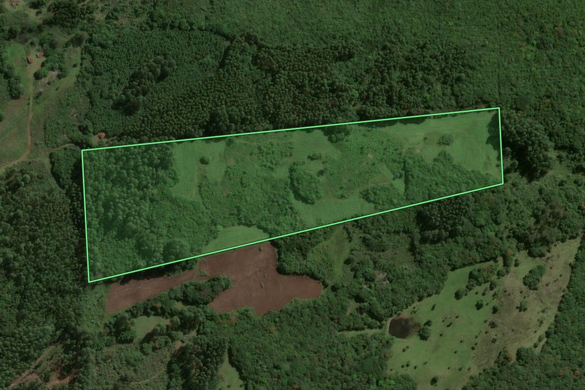 Imagem de satélite do imóvel rural em Barão do Triunfo (RS), com o contorno declarado no CAR desenhado por cima.