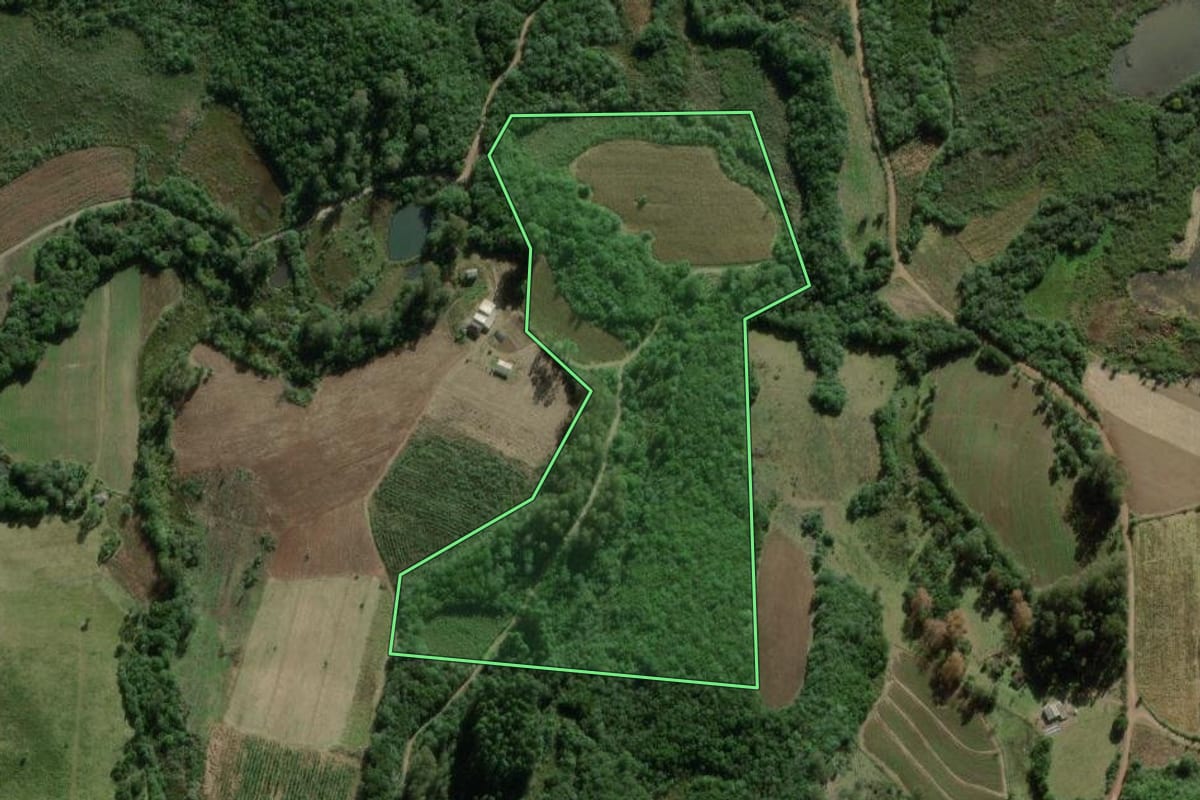 Imagem de satélite do imóvel rural em Barão do Triunfo (RS), com o contorno declarado no CAR desenhado por cima.