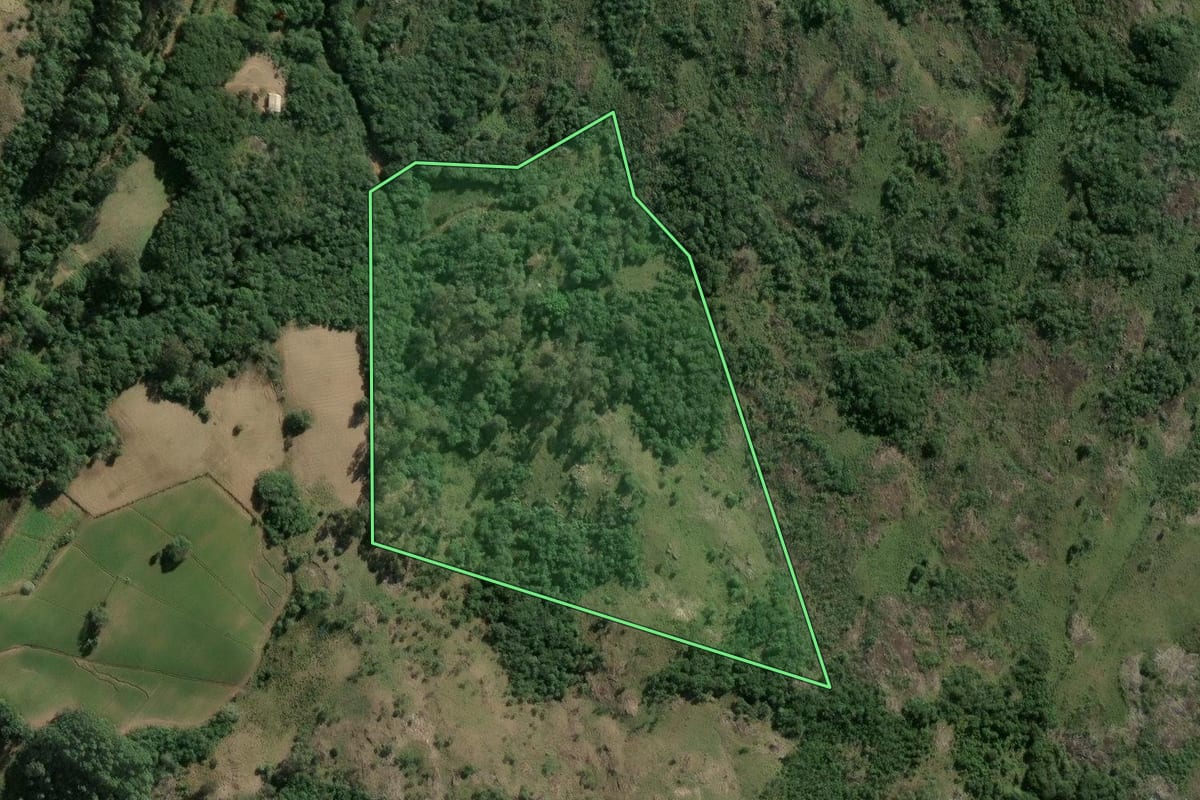 Imagem de satélite do imóvel rural em Barão do Triunfo (RS), com o contorno declarado no CAR desenhado por cima.