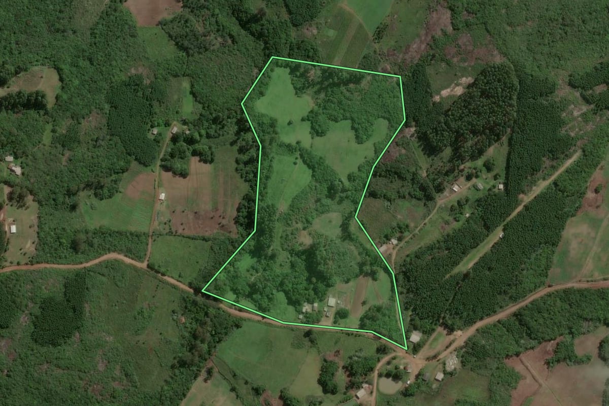 Imagem de satélite do imóvel rural em Barão do Triunfo (RS), com o contorno declarado no CAR desenhado por cima.