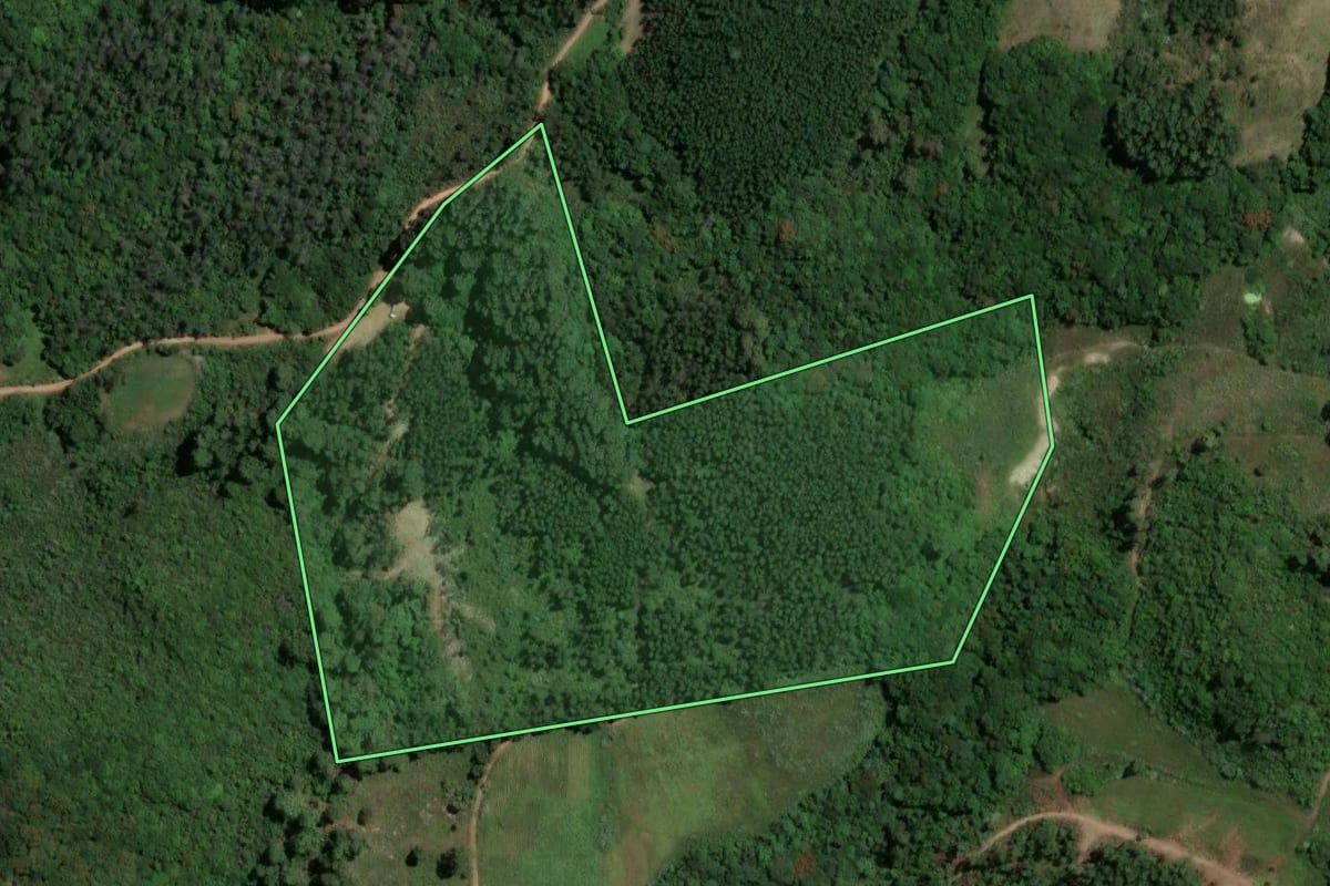 Imagem de satélite do imóvel rural em Barão do Triunfo (RS), com o contorno declarado no CAR desenhado por cima.