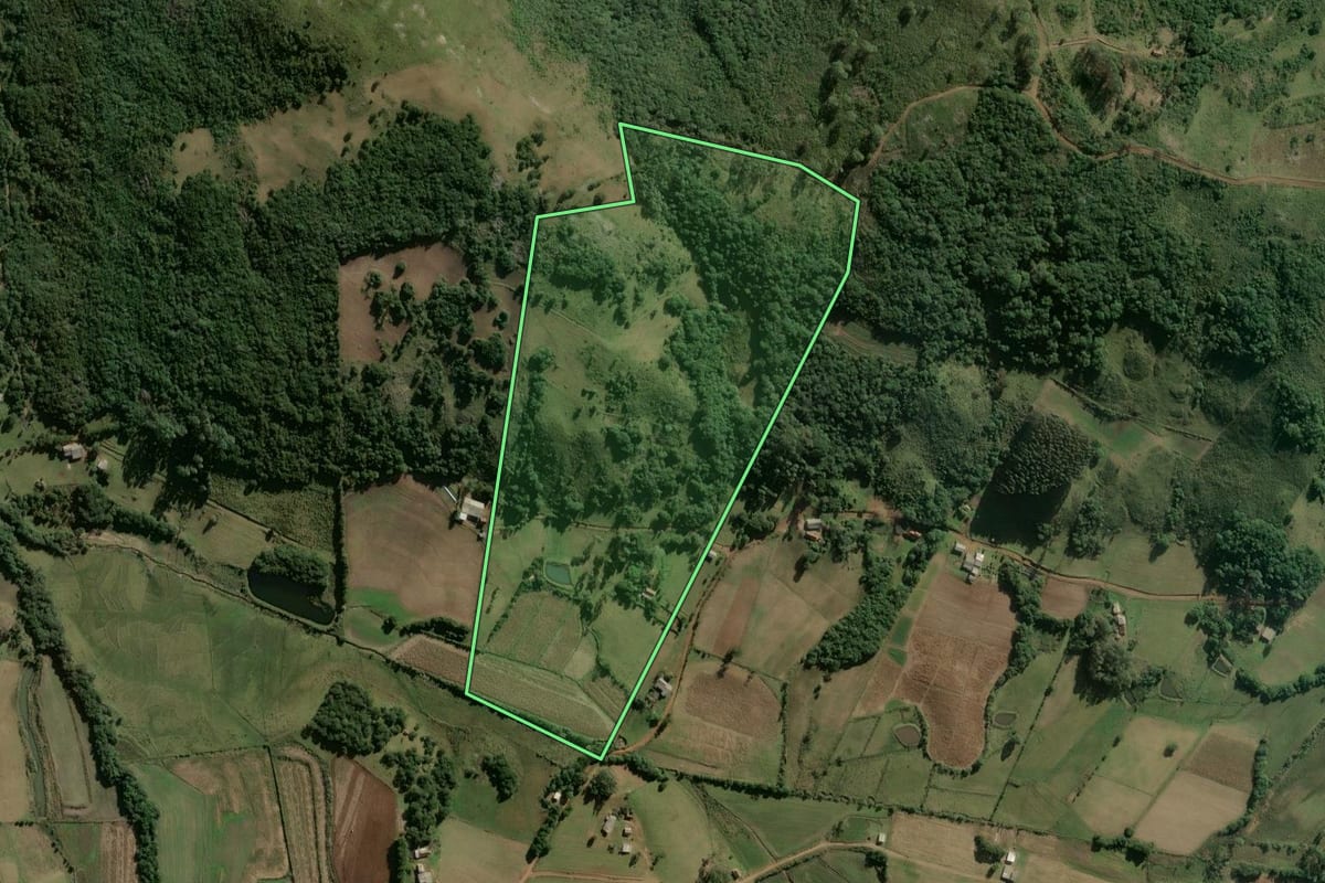 Imagem de satélite do imóvel rural em Barão do Triunfo (RS), com o contorno declarado no CAR desenhado por cima.