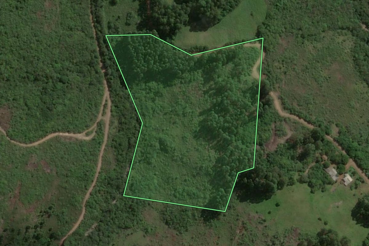 Imagem de satélite do imóvel rural em Barão do Triunfo (RS), com o contorno declarado no CAR desenhado por cima.