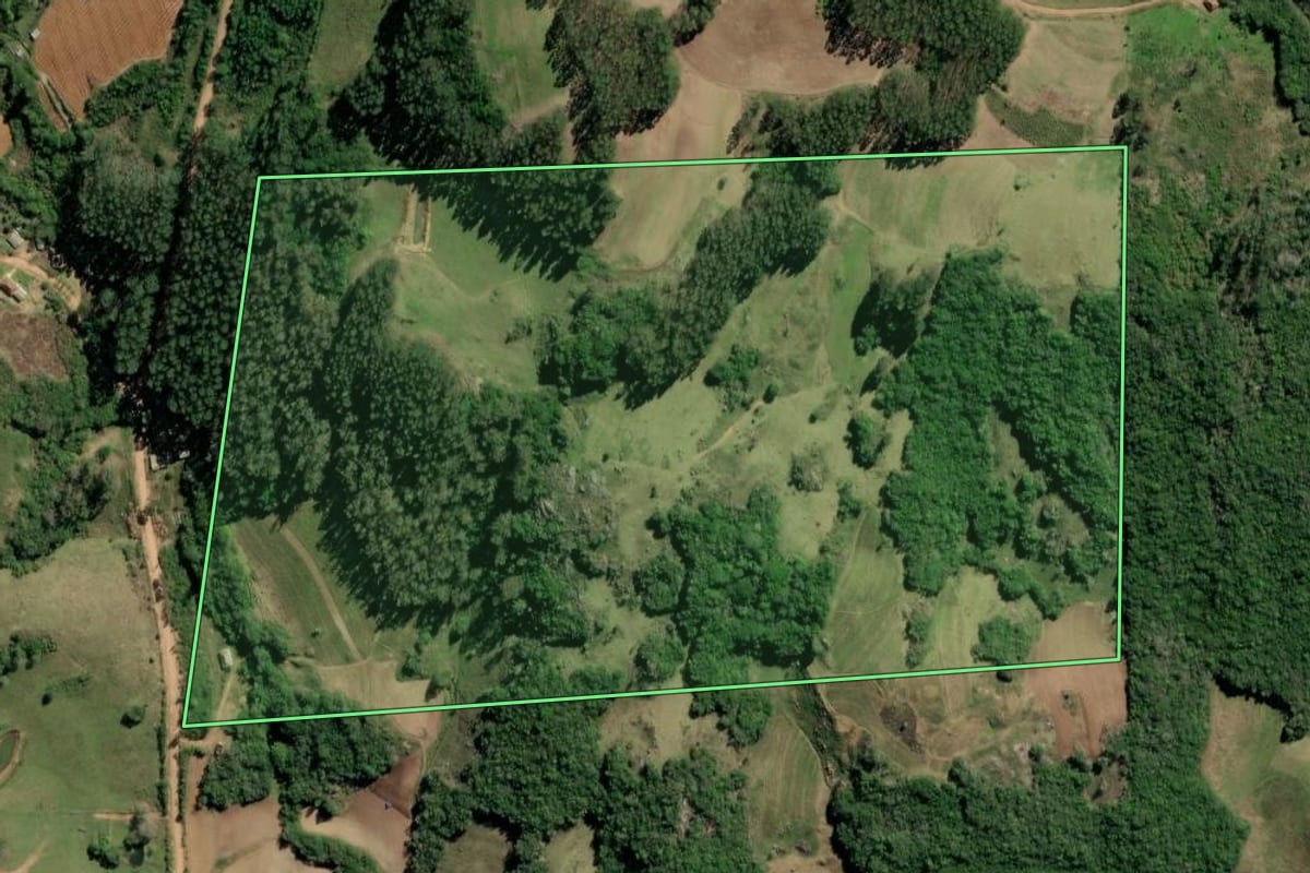 Imagem de satélite do imóvel rural em Barão do Triunfo (RS), com o contorno declarado no CAR desenhado por cima.