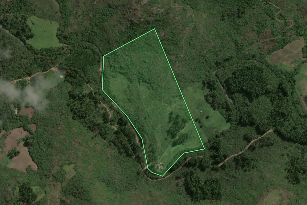 Imagem de satélite do imóvel rural em Barão do Triunfo (RS), com o contorno declarado no CAR desenhado por cima.