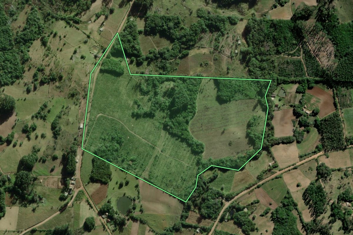 Imagem de satélite do imóvel rural em Barão do Triunfo (RS), com o contorno declarado no CAR desenhado por cima.