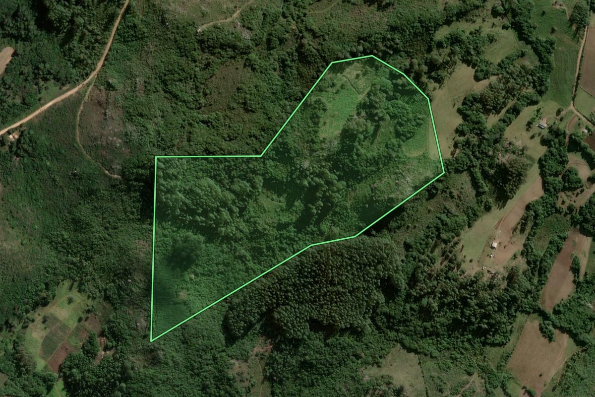 Imagem de satélite do imóvel rural em Barão do Triunfo (RS), com o contorno declarado no CAR desenhado por cima.