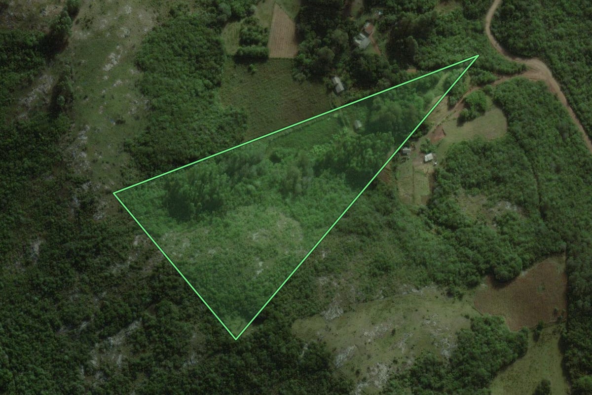 Imagem de satélite do imóvel rural em Barão do Triunfo (RS), com o contorno declarado no CAR desenhado por cima.