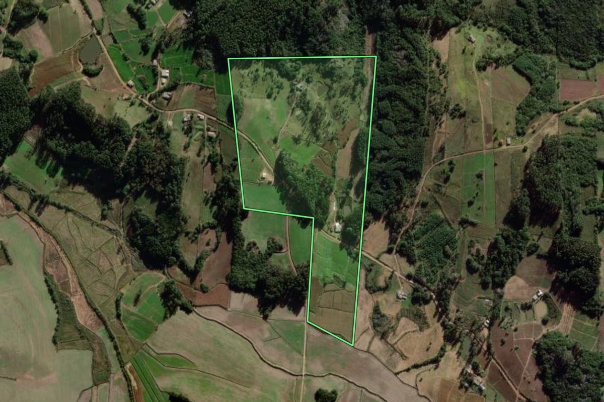 Imagem de satélite do imóvel rural em Barão do Triunfo (RS), com o contorno declarado no CAR desenhado por cima.