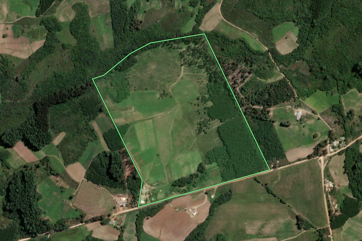 Imagem de satélite do imóvel rural em Barão do Triunfo (RS), com o contorno declarado no CAR desenhado por cima.