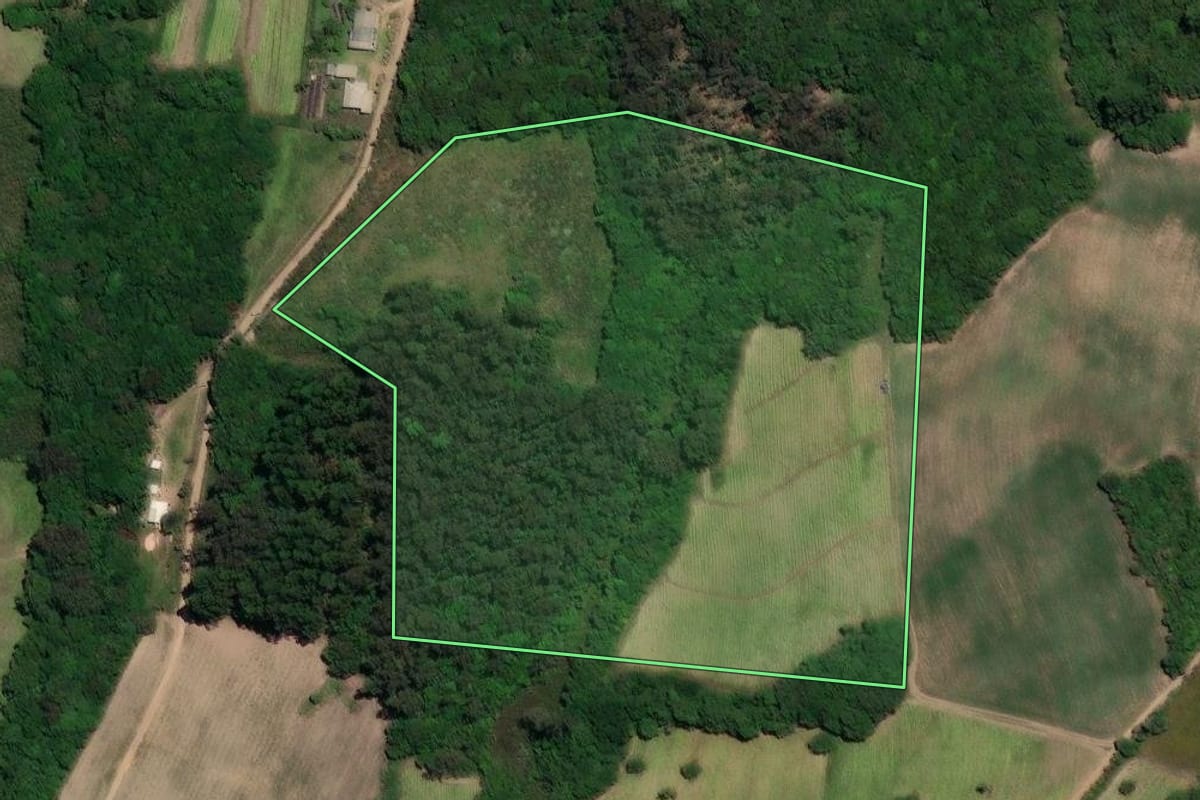 Imagem de satélite do imóvel rural em Barão do Triunfo (RS), com o contorno declarado no CAR desenhado por cima.