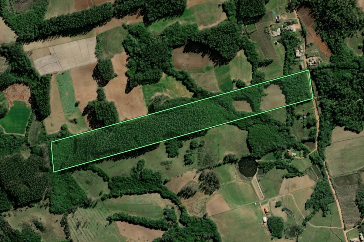 Imagem de satélite do imóvel rural em Barão do Triunfo (RS), com o contorno declarado no CAR desenhado por cima.