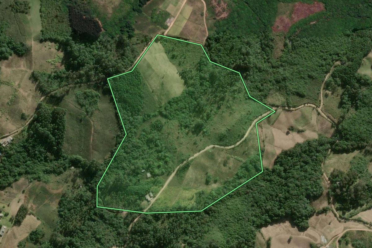 Imagem de satélite do imóvel rural em Barão do Triunfo (RS), com o contorno declarado no CAR desenhado por cima.