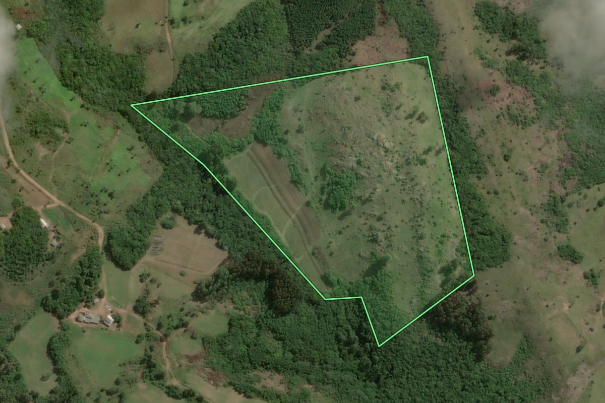 Imagem de satélite do imóvel rural em Barão do Triunfo (RS), com o contorno declarado no CAR desenhado por cima.