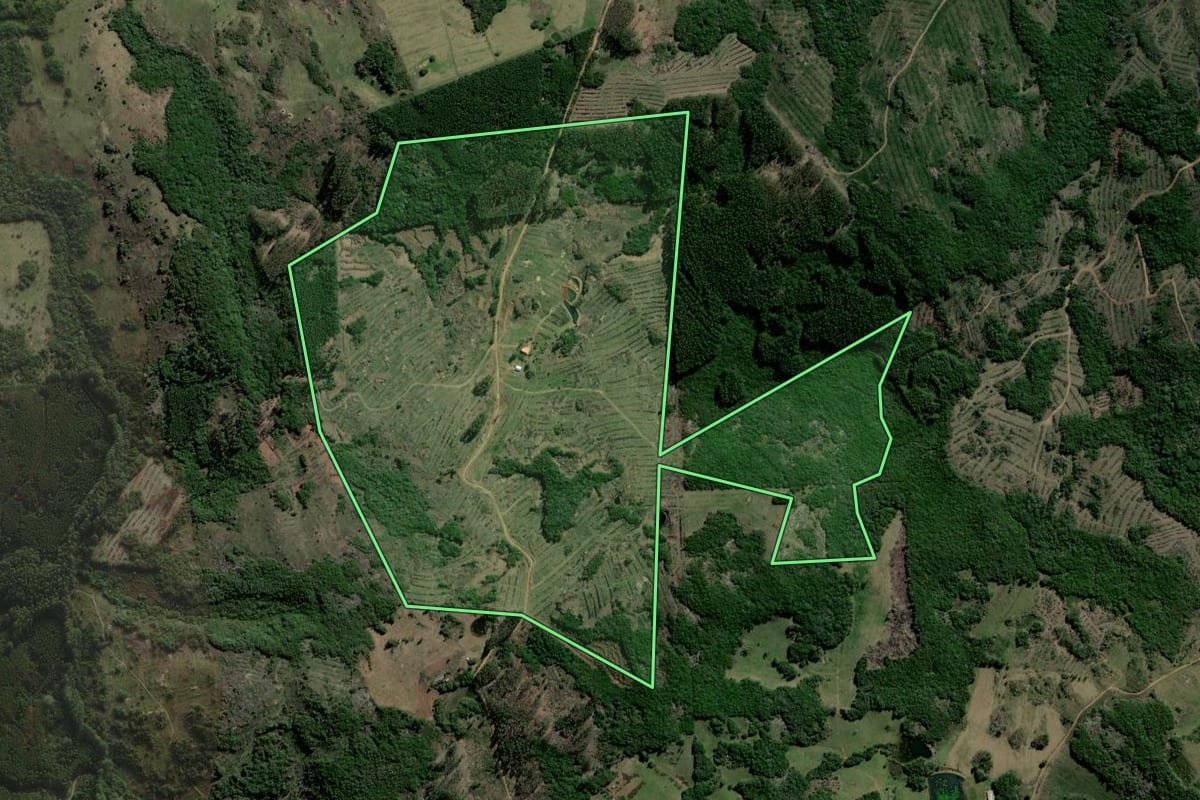 Imagem de satélite do imóvel rural em Barão do Triunfo (RS), com o contorno declarado no CAR desenhado por cima.