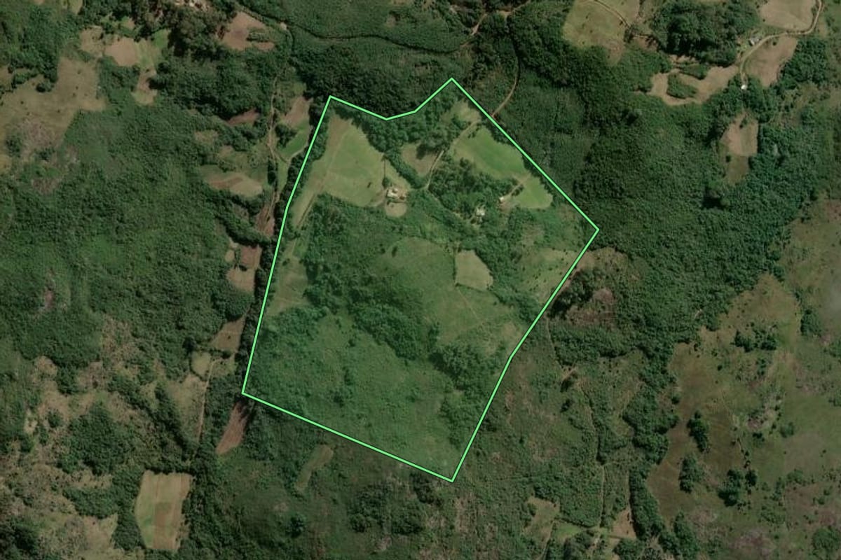 Imagem de satélite do imóvel rural em Barão do Triunfo (RS), com o contorno declarado no CAR desenhado por cima.