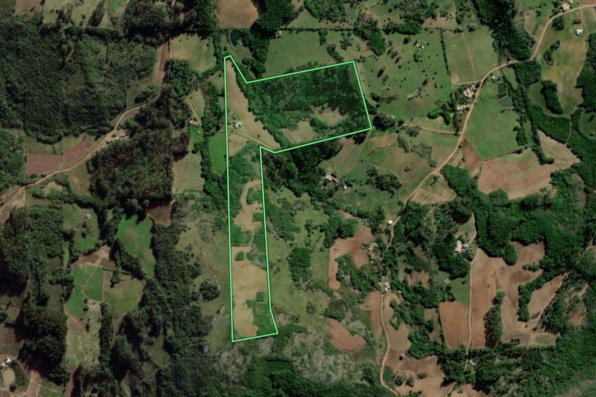 Imagem de satélite do imóvel rural em Barão do Triunfo (RS), com o contorno declarado no CAR desenhado por cima.