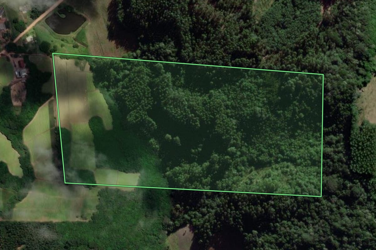 Imagem de satélite do imóvel rural em Barão do Triunfo (RS), com o contorno declarado no CAR desenhado por cima.